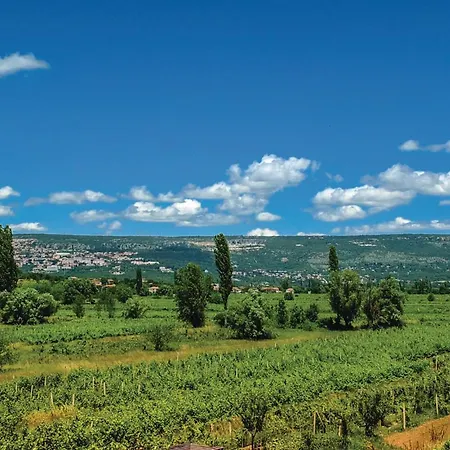 Pet Friendly In Vinjani Donji With House A Panoramic View Majici